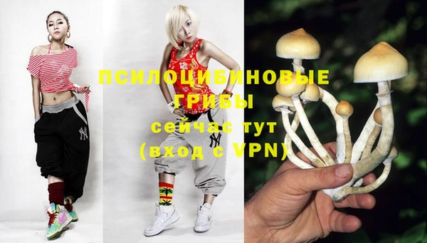ALPHA PVP Болохово