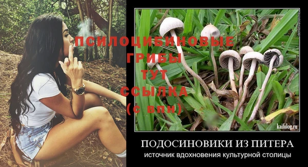 героин Абаза