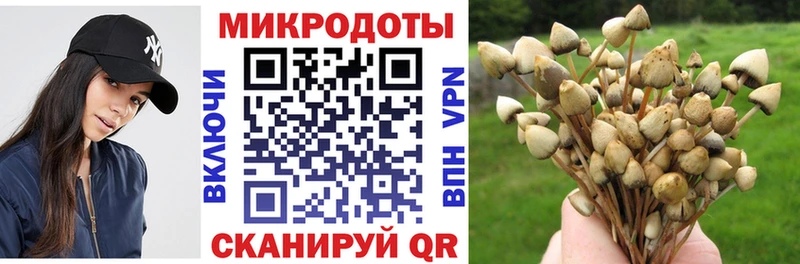 shop наркотические препараты  Миньяр  Псилоцибиновые грибы мицелий  что такое наркотик 