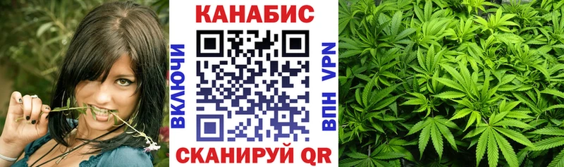 Шишки марихуана семена  продажа наркотиков  Миньяр 